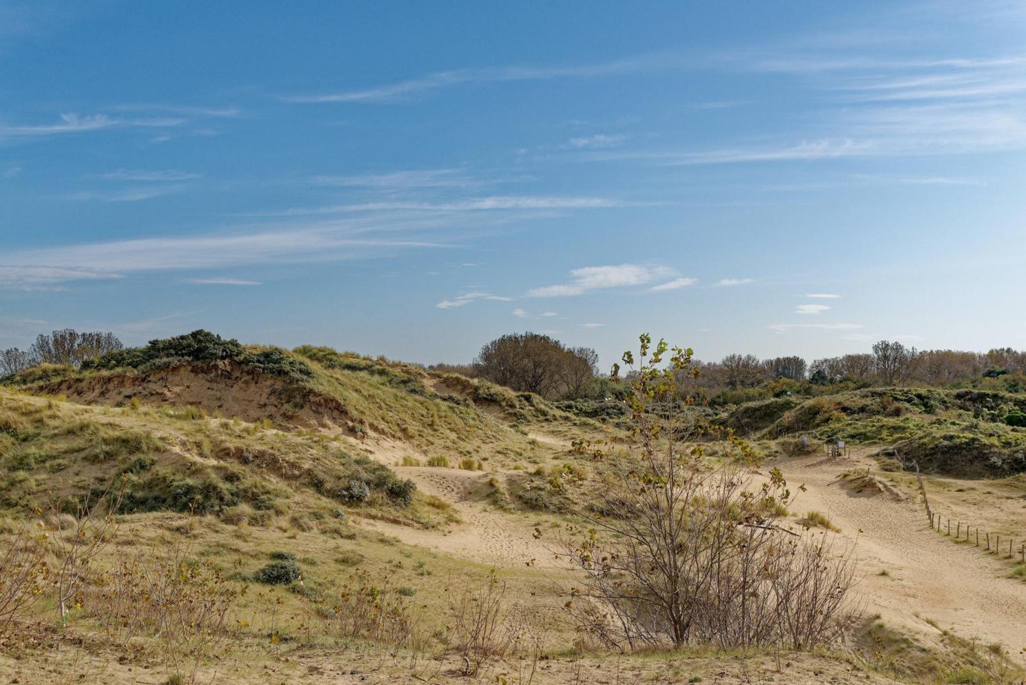 Vakantiewoning Cachalot *